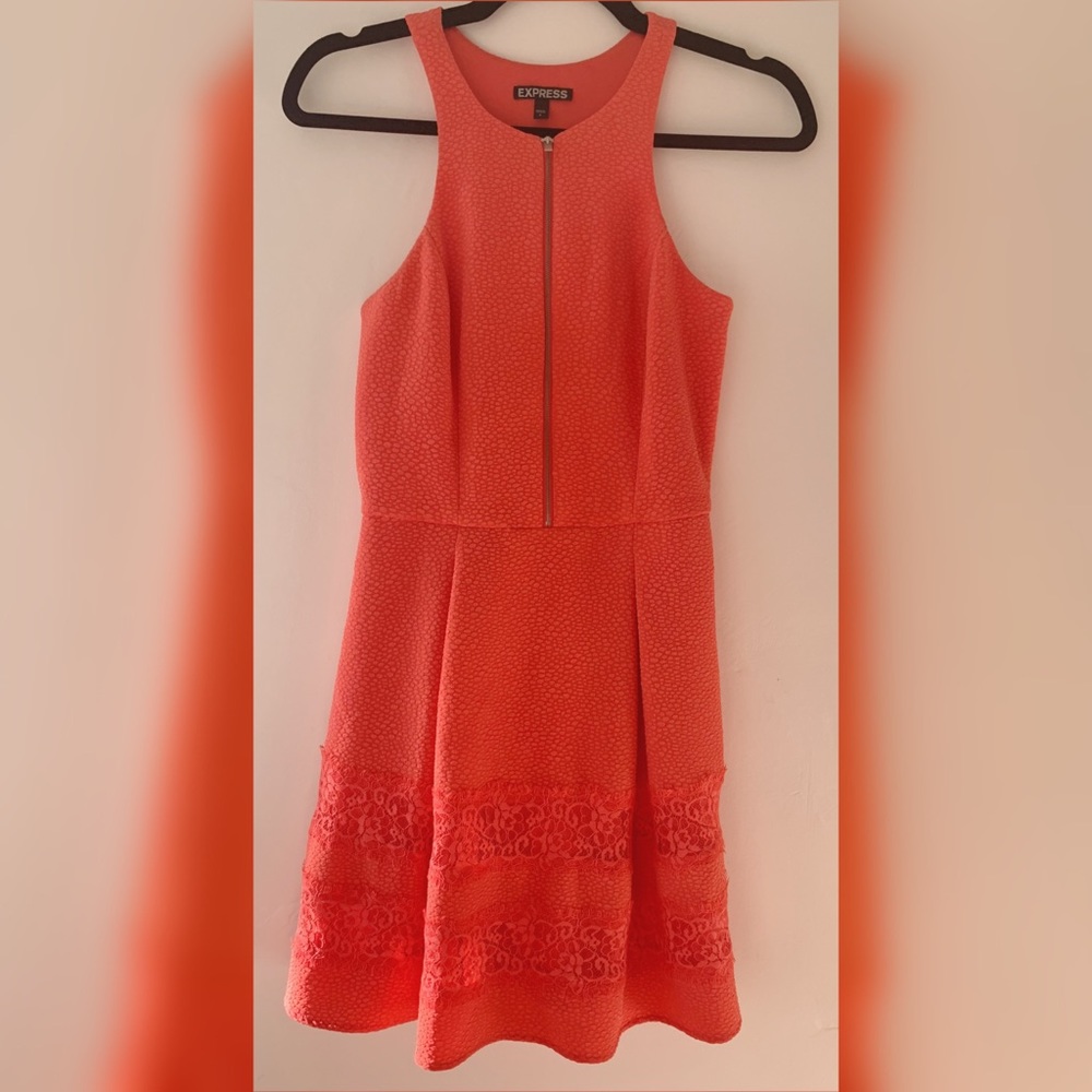 Express Picnic Dress